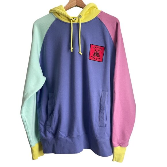 Teddy Fresh Hoodie Small Colorblock Pastel Pullover Logo Patch Unisex Cotton - Picture 1 of 9